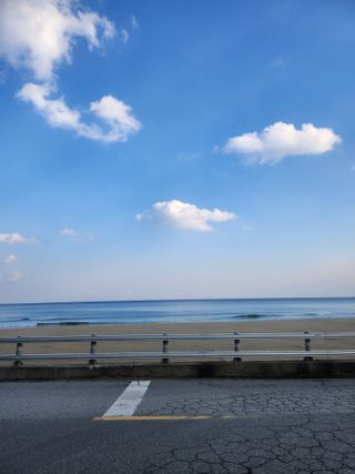 제2의인생출발님의 기타작물 · 영농일지 작성글 사진