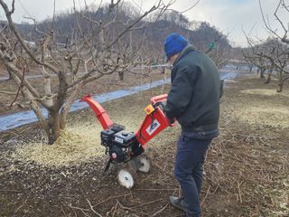 대운농원님의 기타작물 · 영농일지 작성글 사진