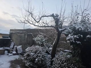 정정치님의 기타작물 · 영농일지 작성글 사진