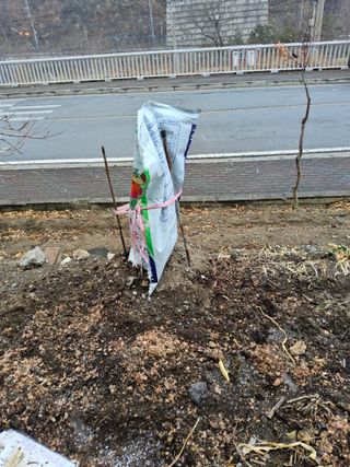 김용대님의 감 · 영농일지 작성글 사진