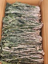 팜모닝 기타작물·영농일지 게시글 이미지