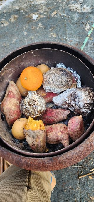 김선례님의 기타작물 · 영농일지 작성글 사진