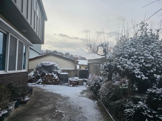 정정치님의 기타작물 · 영농일지 작성글 사진