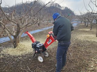 대운농원님의 기타작물 · 영농일지 작성글 사진