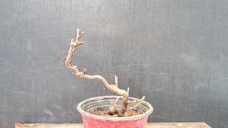 이정운님의 기타작물 · 영농일지 작성글 사진