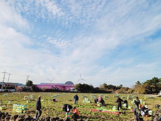 한경훈님의 기타작물 · 영농일지 작성글 사진
