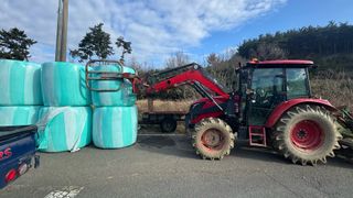 조한충님의 기타작물 · 영농일지 작성글 사진