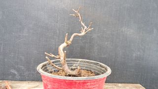 이정운님의 기타작물 · 영농일지 작성글 사진