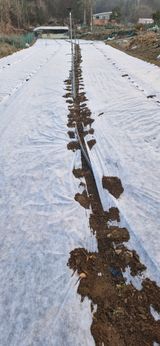 옥이네님의 작성글 사진