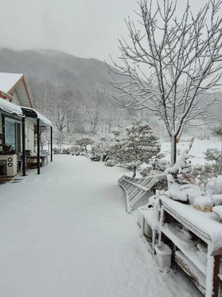 가는세월북하리님의 기타작물 · 영농일지 작성글 사진