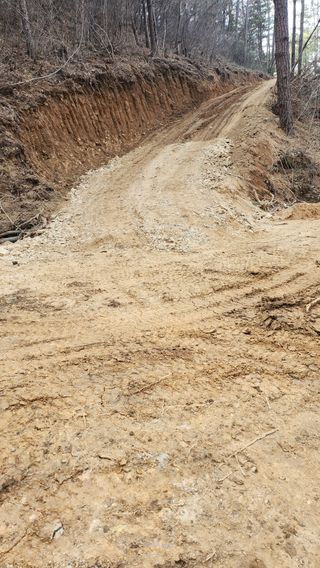 조동식님의 두릅 · 영농일지 작성글 사진