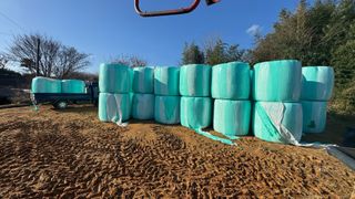 조한충님의 기타작물 · 영농일지 작성글 사진