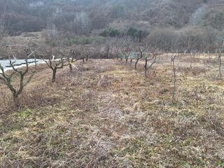 창열님의 기타작물 · 영농일지 작성글 사진