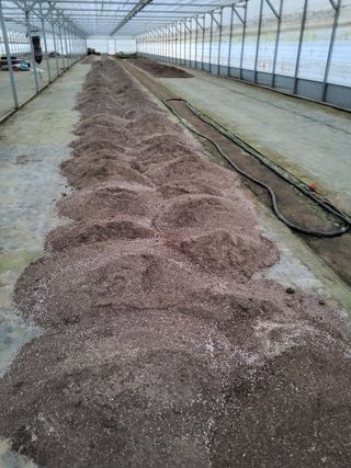 팜모닝회원 김순달 님의 기타작물 · 영농일지 작성글 사진