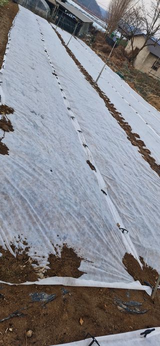 옥이네님의 작성글 사진