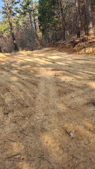 조동식님의 두릅 · 영농일지 작성글 사진