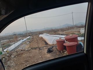 김익중님의 양파 · 영농일지 작성글 사진