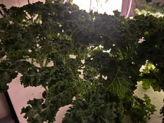 정종배님의 기타작물 · 영농일지 작성글 사진