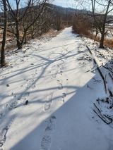 팜모닝 포도·영농일지 게시글 이미지