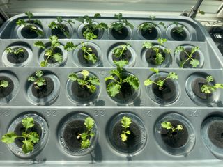 정종배님의 기타작물 · 영농일지 작성글 사진