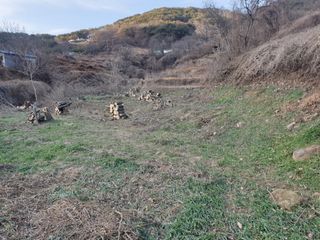 김순곤님의 기타작물 · 영농일지 작성글 사진