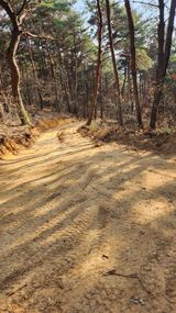 팜모닝 두릅·영농일지 게시글 이미지