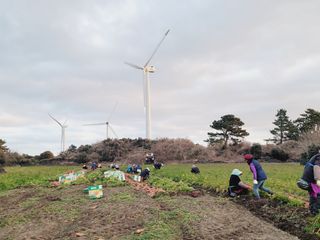 한경훈님의 기타작물 · 영농일지 작성글 사진