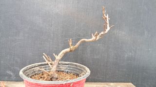 이정운님의 기타작물 · 영농일지 작성글 사진