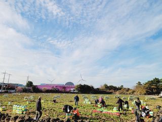 한경훈님의 기타작물 · 영농일지 작성글 사진