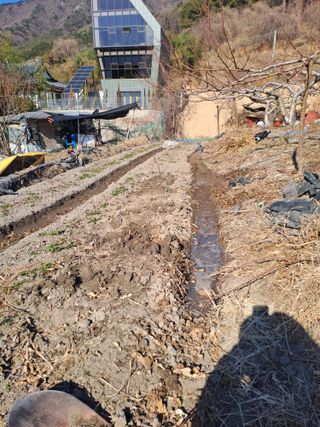 검은눈동자님의 기타작물 · 영농일지 작성글 사진