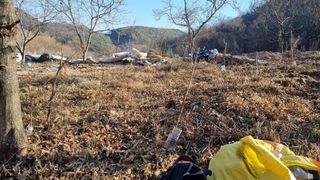 김동명님의 기타작물 · 영농일지 작성글 사진