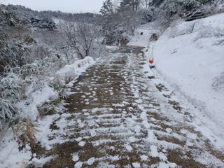 열남님의 기타작물 · 영농일지 작성글 사진