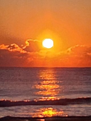 제2의인생출발님의 기타작물 · 영농일지 작성글 사진