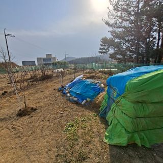 한종옥님의 기타작물 · 영농일지 작성글 사진