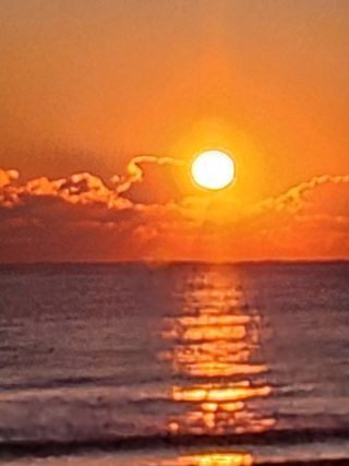 제2의인생출발님의 기타작물 · 영농일지 작성글 사진