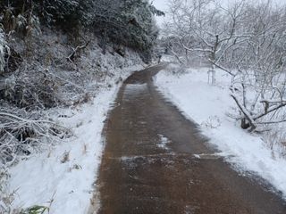 열남님의 기타작물 · 영농일지 작성글 사진