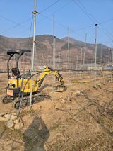 팜모닝 사과·영농일지 게시글 이미지