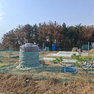 한종옥님의 기타작물 · 영농일지 작성글 사진