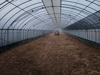 전원수님의 기타작물 · 영농일지 작성글 사진