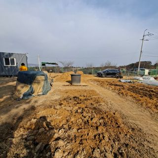 한종옥님의 기타작물 · 영농일지 작성글 사진