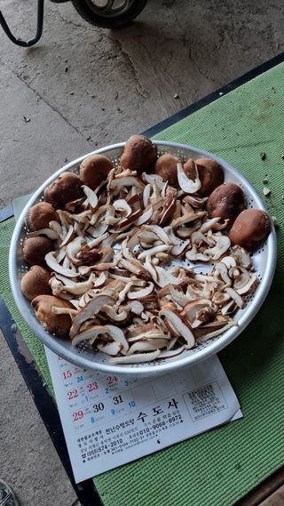 김동명님의 기타작물 · 영농일지 작성글 사진