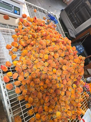 전은식님의 기타작물 · 영농일지 작성글 사진