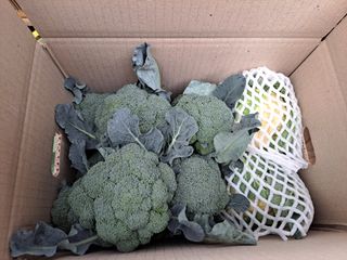 한림한경님의 기타작물 · 영농일지 작성글 사진