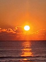 팜모닝 기타작물·영농일지 게시글 이미지