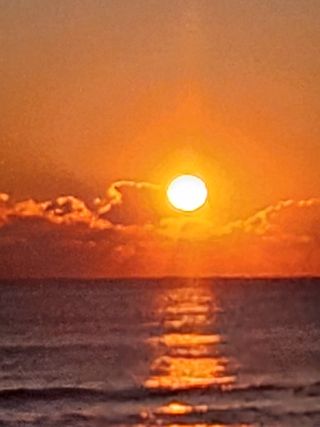 제2의인생출발님의 기타작물 · 영농일지 작성글 사진