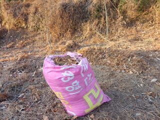 전원수님의 기타작물 · 영농일지 작성글 사진