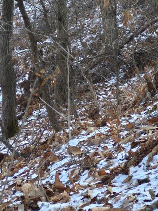 엉뚱님의 기타작물 · 영농일지 작성글 사진