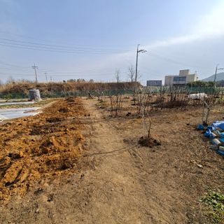 한종옥님의 기타작물 · 영농일지 작성글 사진