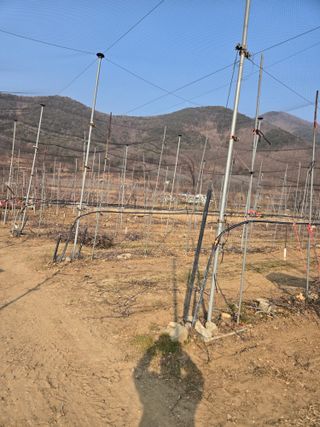 홍1237님의 사과 · 영농일지 작성글 사진