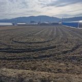 팜모닝 기타작물·영농일지 게시글 이미지